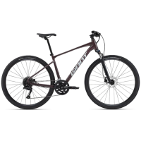 Giant Roam 2 Disc (2024) Giant Roam 2 Disc (2024)