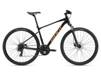 Giant Roam 4 (2025) Giant Roam 4 (2025)