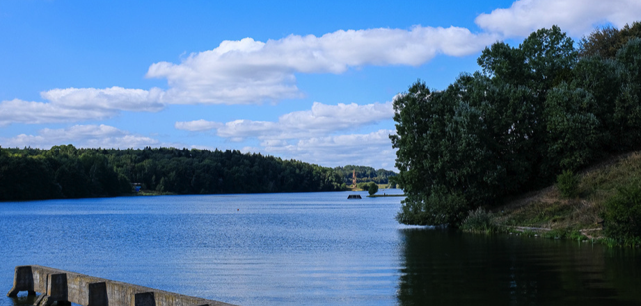 Птичь — Строчицы