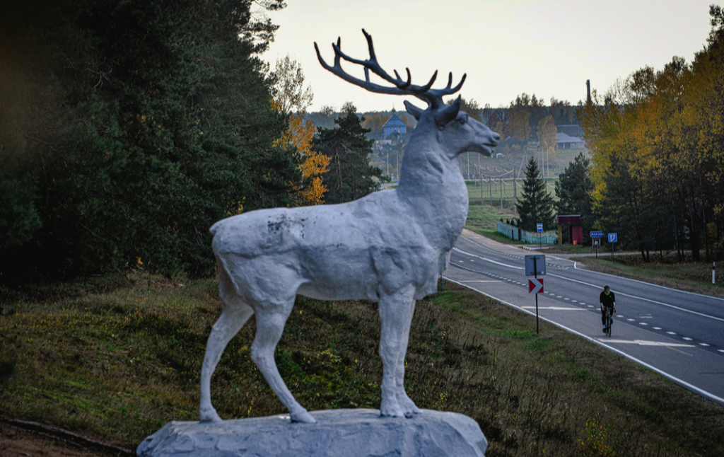 Путешествие в Беловежскую пущу