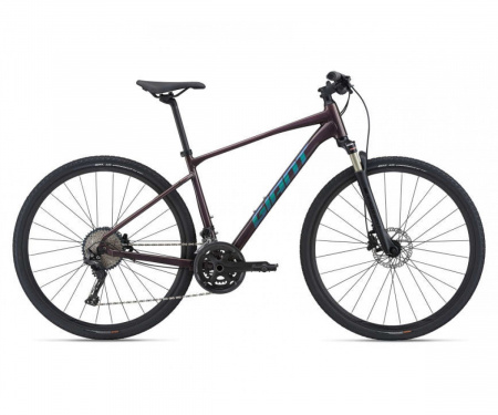 GIANT ROAM 0 DISC ROSEWOOD (2021)