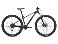 Giant Liv Tempt 3 (2025)