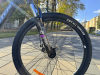 Totem Hulk 26 (2025)  1м40см-1м60см Totem Hulk 26 (2025)  1м40см-1м60см