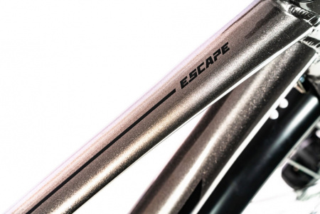 Giant Escape City Disc 2 M 2020