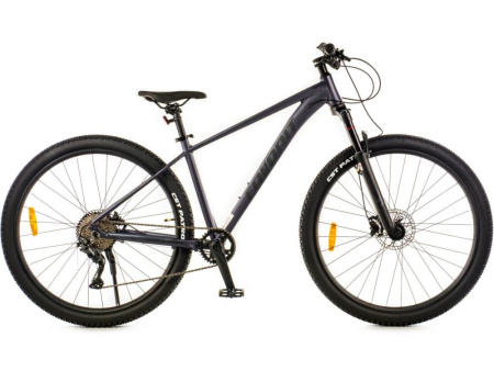 Favorit RANGER 29