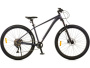 Favorit RANGER 29