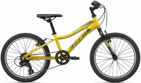 Детский велосипед Giant XTC JR 20 Lite 2020