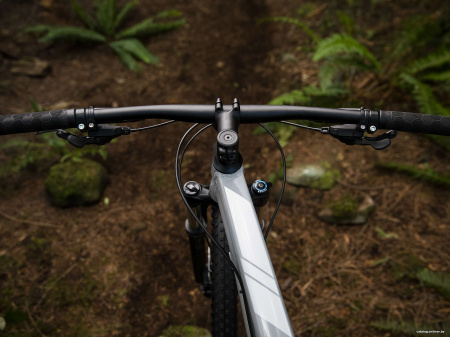 Trek X-Caliber 8 29 (серый, 2019)