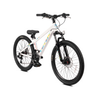 TOTEM MANTIN 24 (2021)