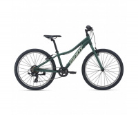 GIANT XTC JR 24 V-BR (2021)  8 - 12 лет GIANT XTC JR 24 V-BR (2021)  8 - 12 лет