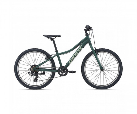 GIANT XTC JR 24 V-BR (2021)  8 - 12 лет