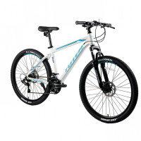 TOTEM Y660M 26'' (2021)