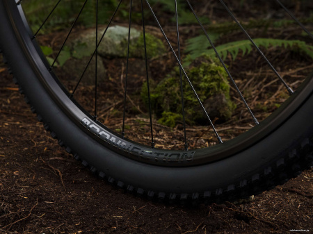 Trek X-Caliber 7 29 (2019)