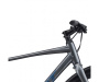 GIANT ESCAPE 2 CITY DISC CHARCOAL (2024)