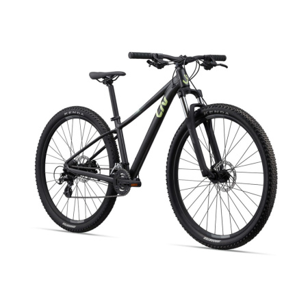 Giant Liv Tempt 4 29"