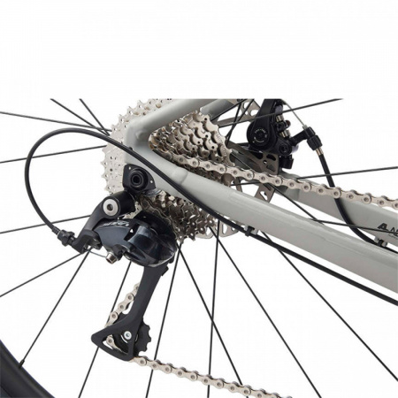 Giant Revolt 2 (2021) Giant Revolt 2 (2021)