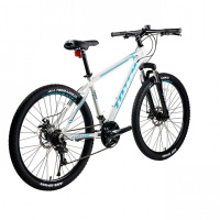 TOTEM Y660M 26'' (2021)