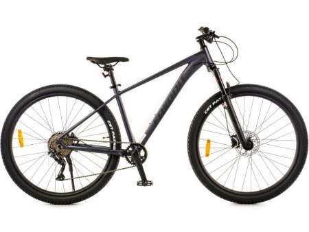 Favorit RANGER 29
