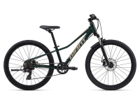 Talon 24 Disc Talon 24 Disc