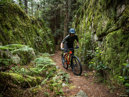 Trek Marlin 7 29 (серый, 2020) Trek Marlin 7 29 (серый, 2020)