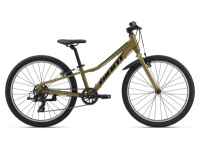 Talon 24 Lite (2024) Talon 24 Lite (2024)