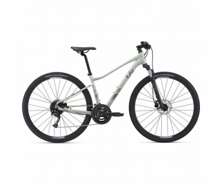 Giant Liv Rove 2 DD 2021