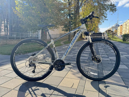 Upland Vanguard 500 29 (Grey) Upland Vanguard 500 29 (Grey)