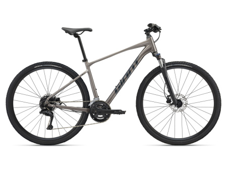 Giant Roam Disc 3 (2025)