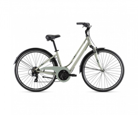 GIANT FLOURISH FS 3 DESERT SAGE