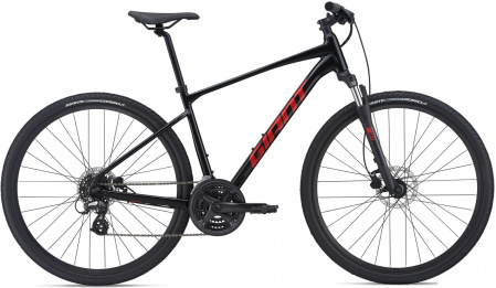 Giant Roam 4 Disc 2021