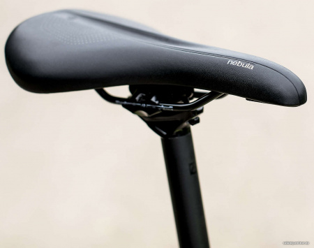 Trek Dual Sport 3 (зеленый, 2019) Trek Dual Sport 3 (зеленый, 2019)