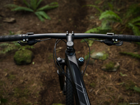 Trek X-Caliber 7 29 (2019)