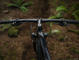 Trek X-Caliber 7 29 (2019)