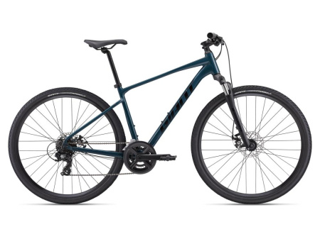 Giant Roam Disc 4 Giant Roam Disc 4