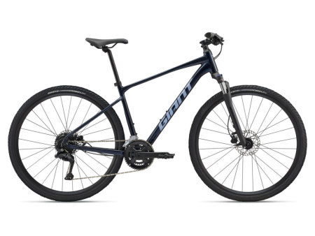 Giant Roam Disc 3 (2025)