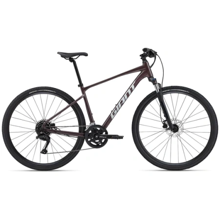 Giant Roam 2 Disc (2024)